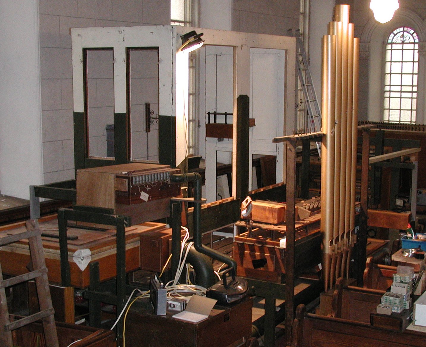 Daniel Organ