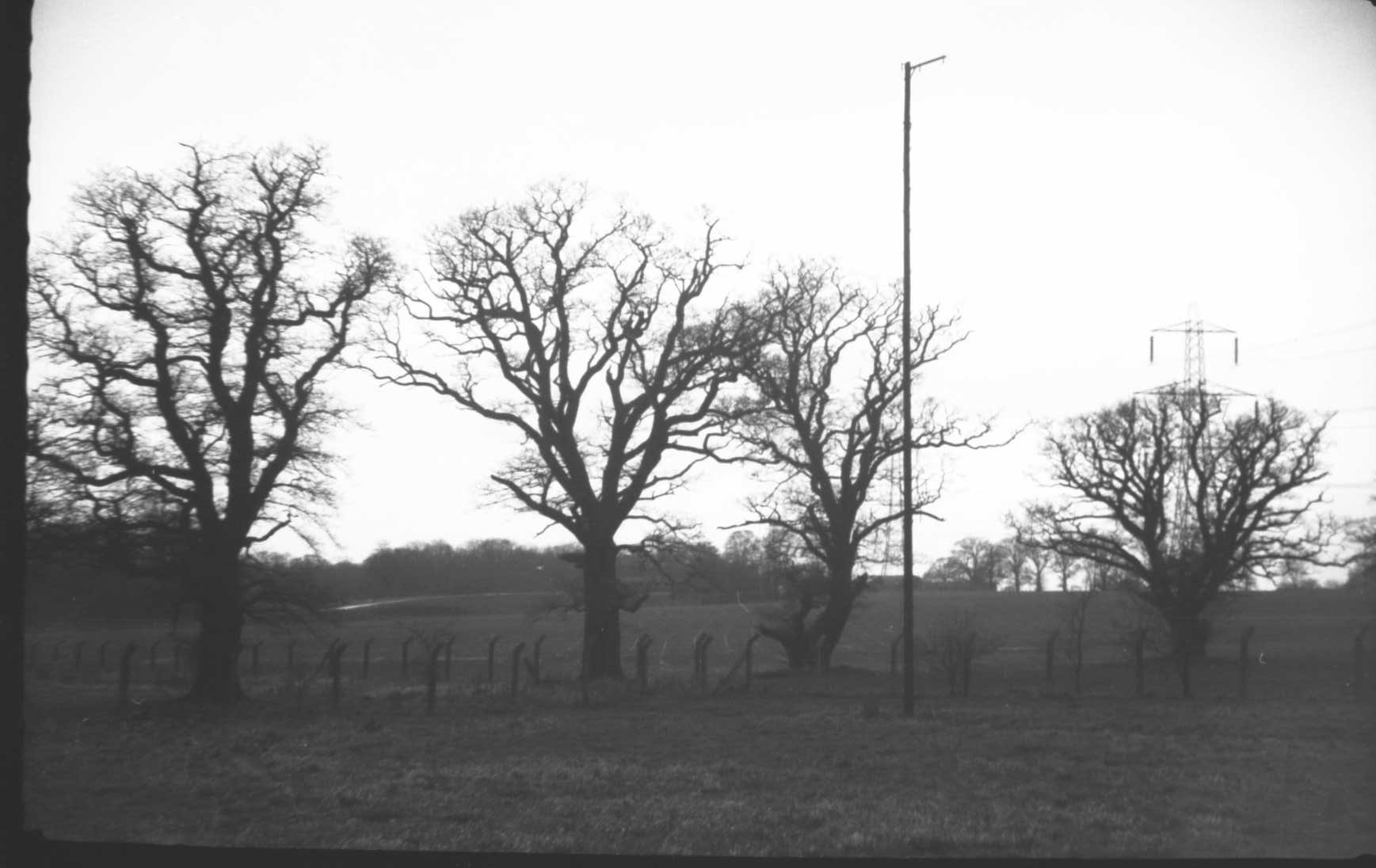 radio hut