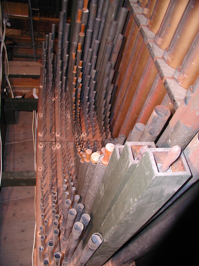 organ4