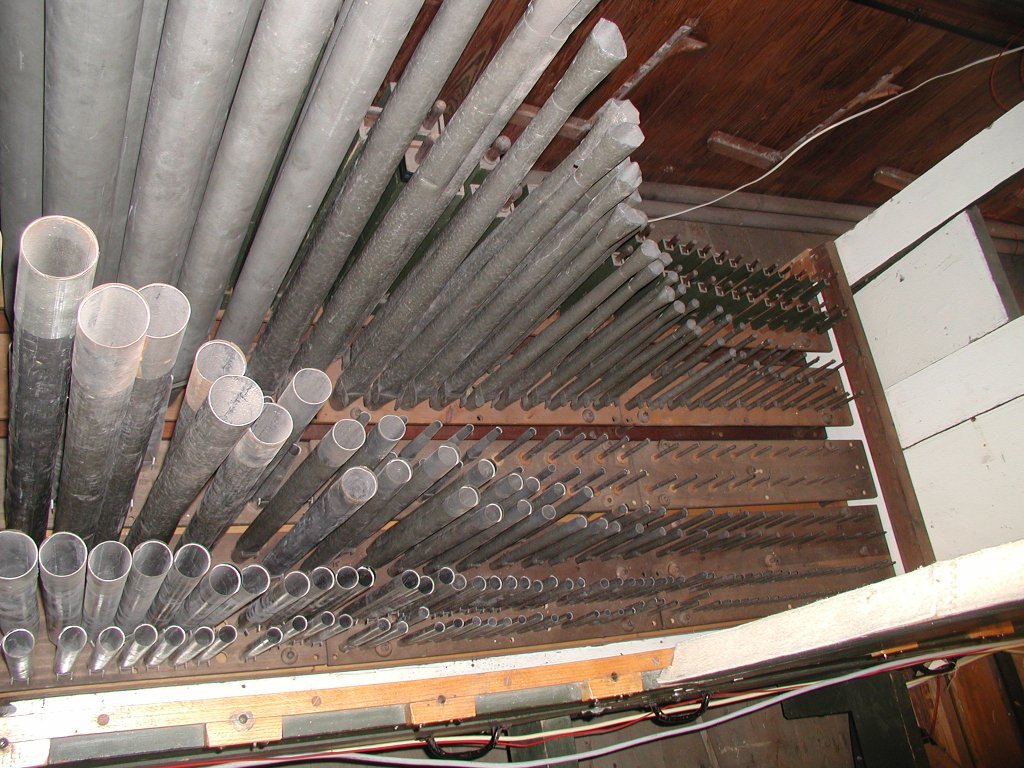 organ5